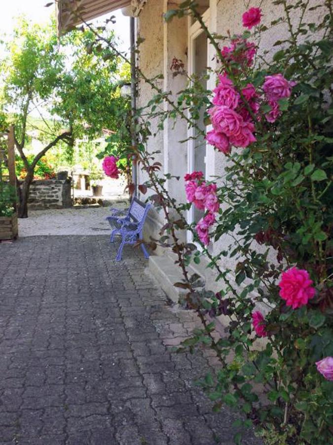 Saint-Sernin-du-Plain La Providence, Chambres D'Hotes מראה חיצוני תמונה